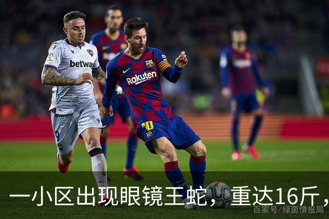 一小区出现眼镜王蛇，重达16斤，就在居民窗外游走，消防：是世界上体型最大的前沟牙毒蛇