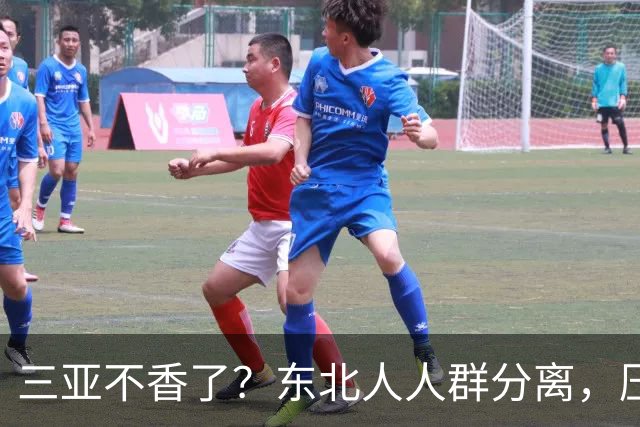 三亚不香了？东北人人群分离，压垮他们的不是物价，而是生活现实