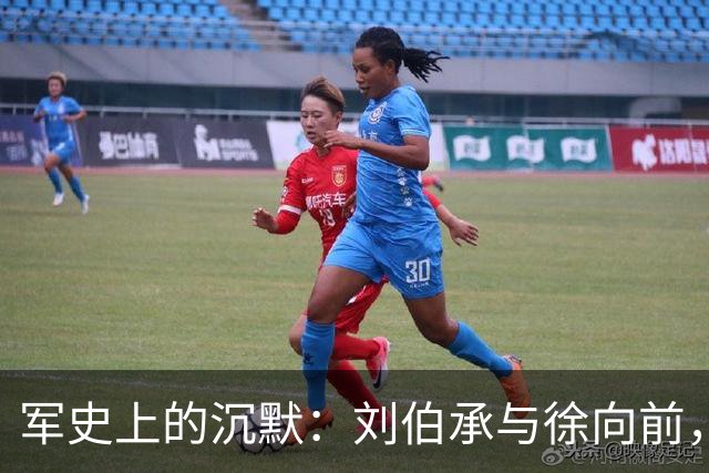 军史上的沉默：刘伯承与徐向前，为何成了毛主席的“例外”？