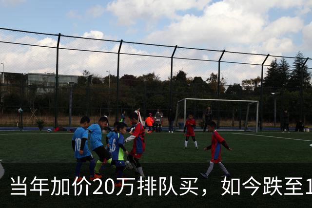 当年加价20万排队买，如今跌至12万：第一批豪车中产彻底破防