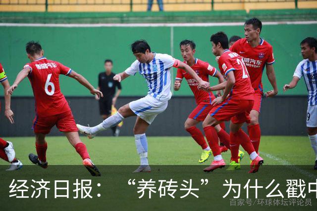 经济日报：“养砖头”为什么戳中年轻人？