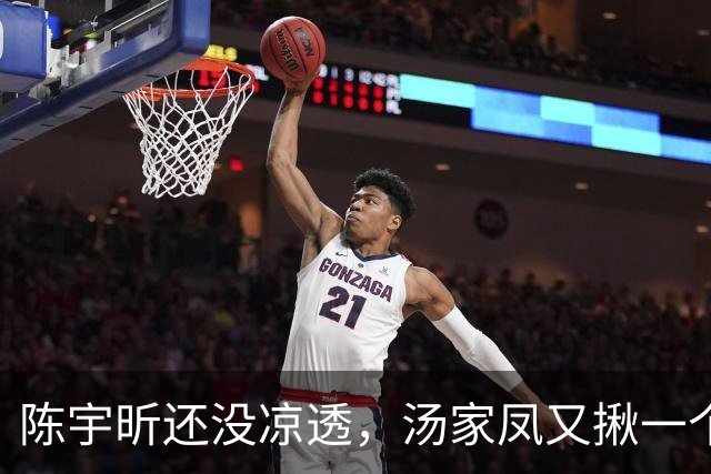 陈宇昕还没凉透，汤家凤又揪一个“精日”人员：竟然还是公司老板