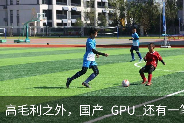 高毛利之外，国产 GPU 还有一笔 “软件账”
