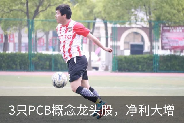 3只PCB概念龙头股，净利大增